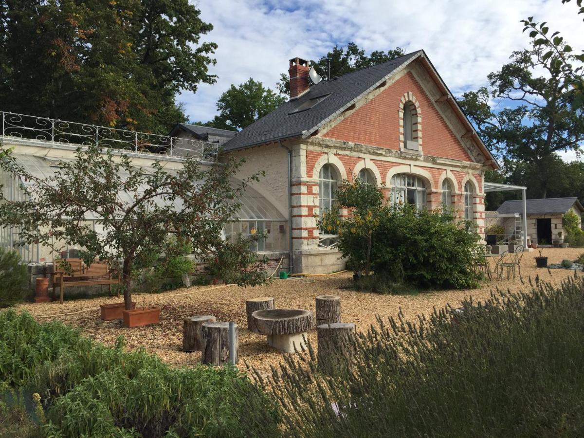 הוילה סל-סור-שר L'Orangerie "The Orangery" Du Parc Des Nouies מראה חיצוני תמונה
