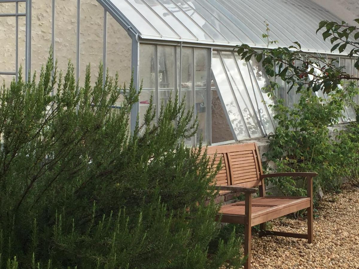 הוילה סל-סור-שר L'Orangerie "The Orangery" Du Parc Des Nouies מראה חיצוני תמונה