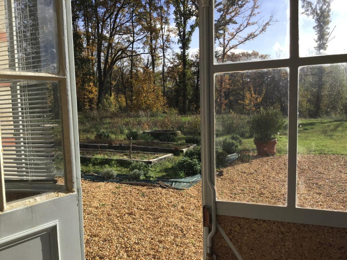 הוילה סל-סור-שר L'Orangerie "The Orangery" Du Parc Des Nouies מראה חיצוני תמונה