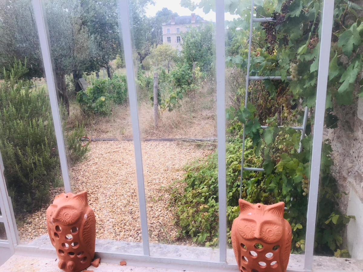 הוילה סל-סור-שר L'Orangerie "The Orangery" Du Parc Des Nouies מראה חיצוני תמונה